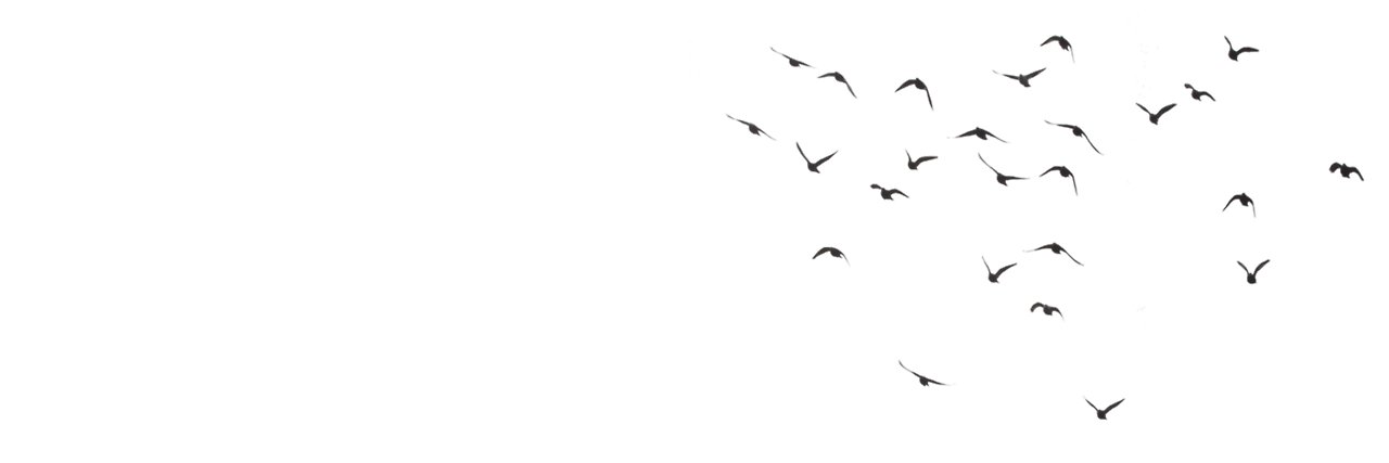 ktmrazoey's profile banner image