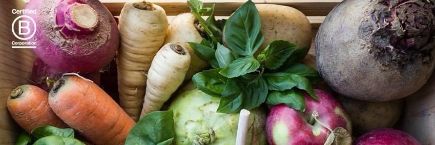 Boston Organics banner