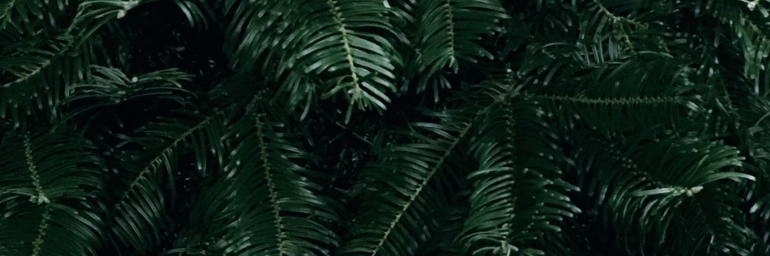 Estefie095's profile banner image