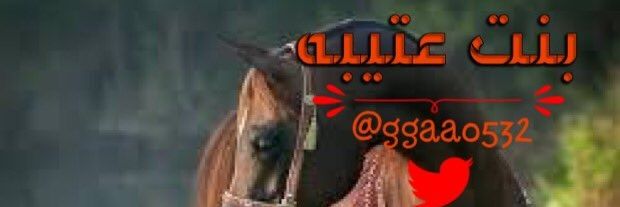 ggaa0532's profile banner image