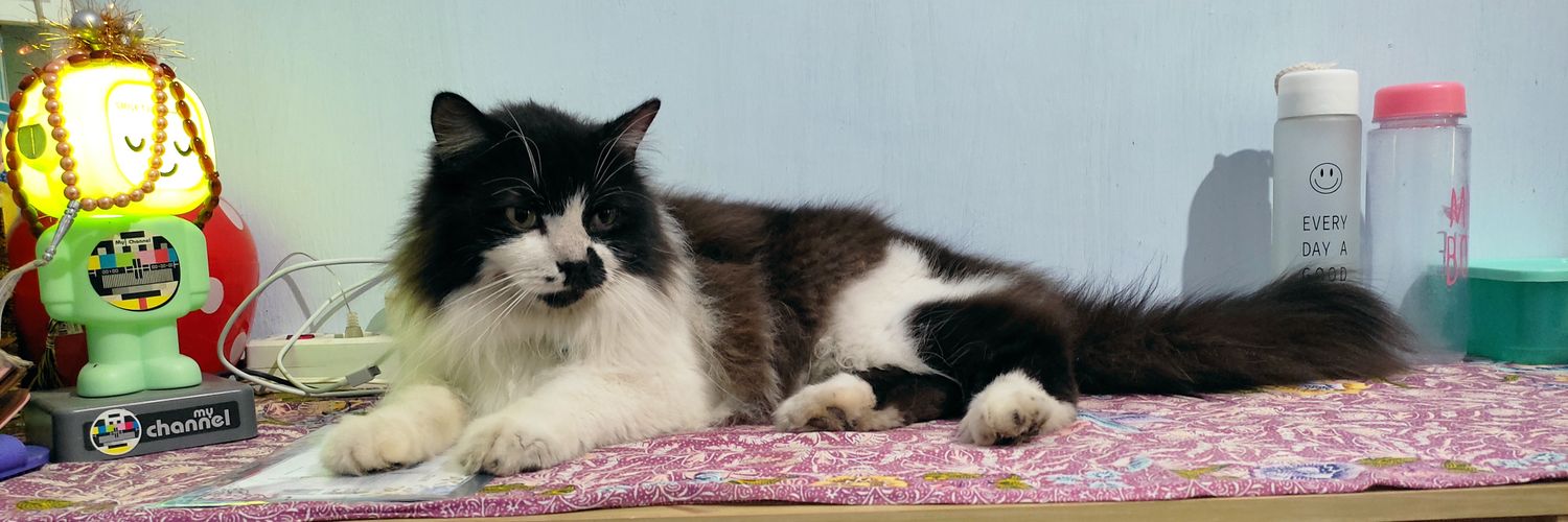 Callin' u for Freedom🇸🇩 banner