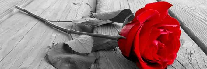 Timeline Tweet banner