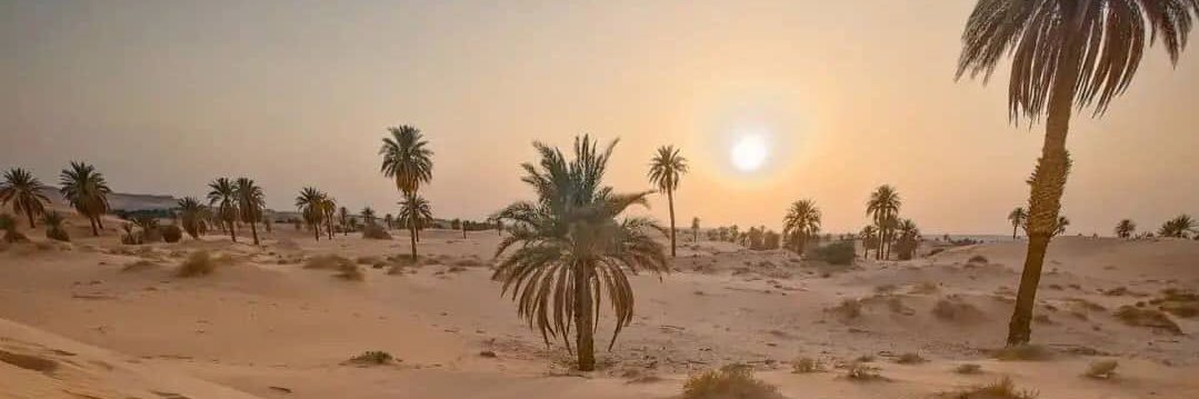 Jihaaad 🇲🇦 banner