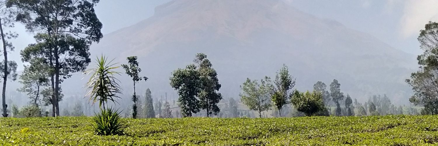 IMBaharsyah's profile banner image