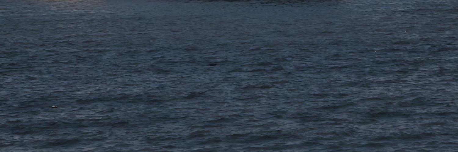 HomieLaydon's profile banner image