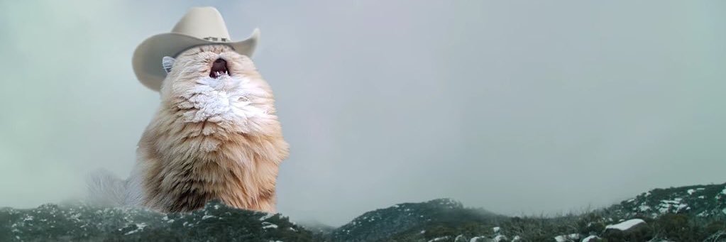 mschmids's profile banner image