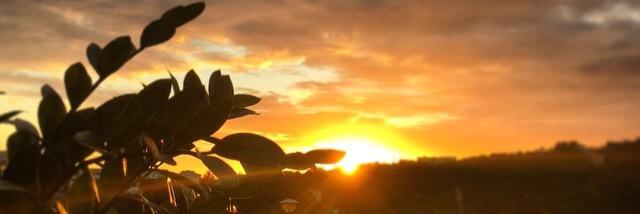 delikate972's profile banner image