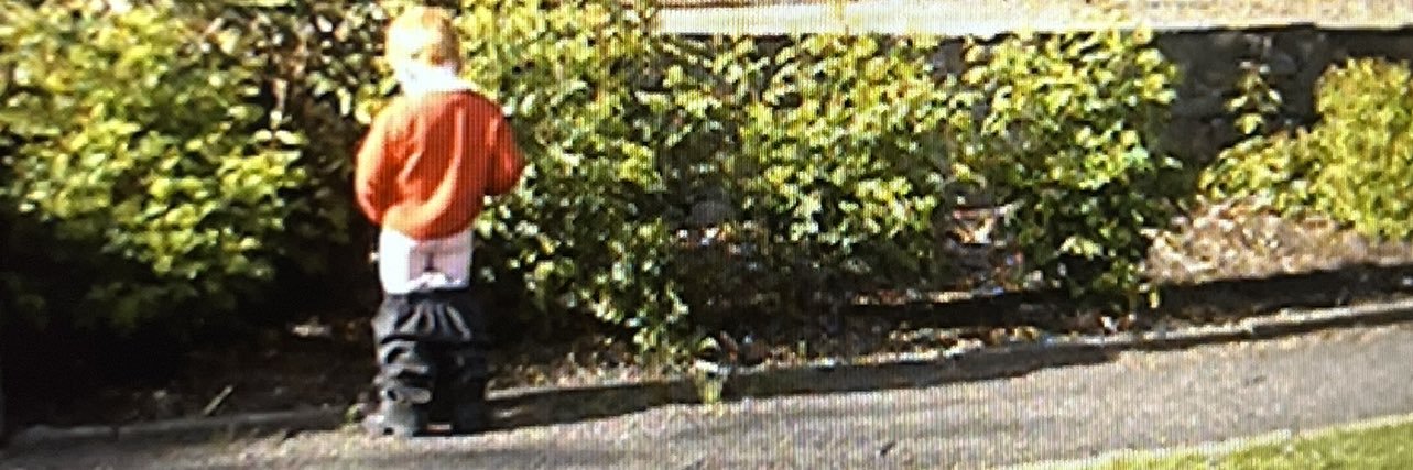 Toby wilkinson banner