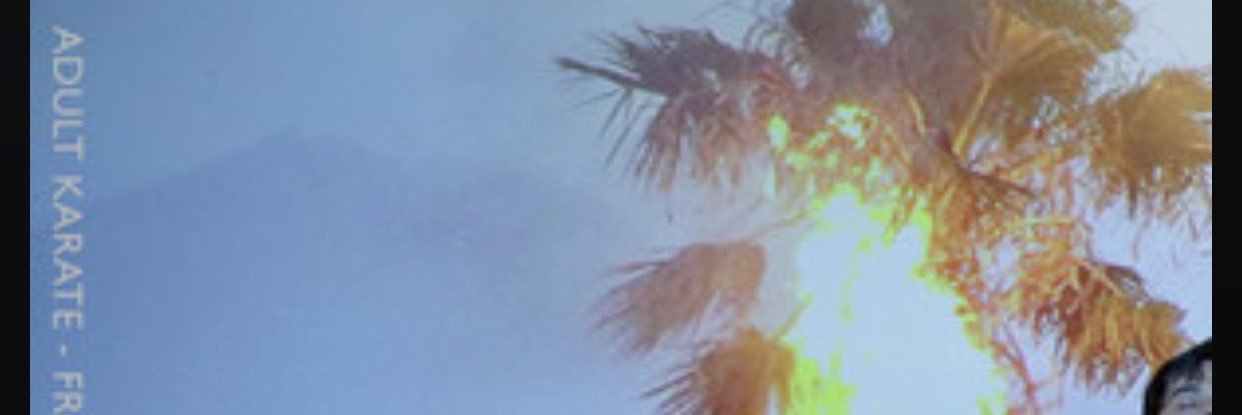 Plug Research Records banner