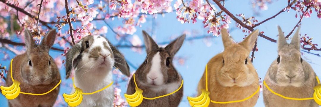03190223's profile banner image