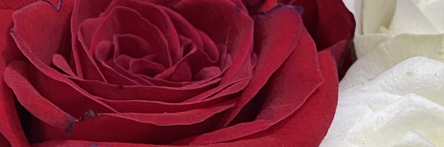 _Estefsantill2's profile banner image