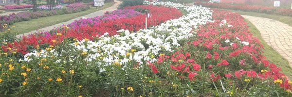 murny7 Profile Banner