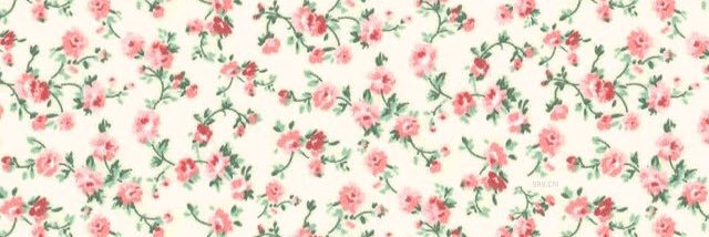 LilAlicesPalace's profile banner image