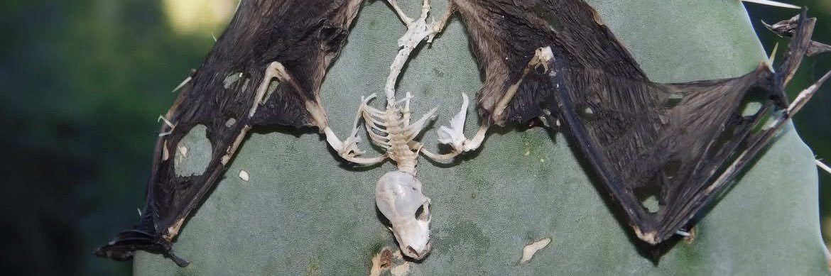 whatthehellhope's profile banner image