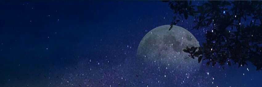 splllk77's profile banner image