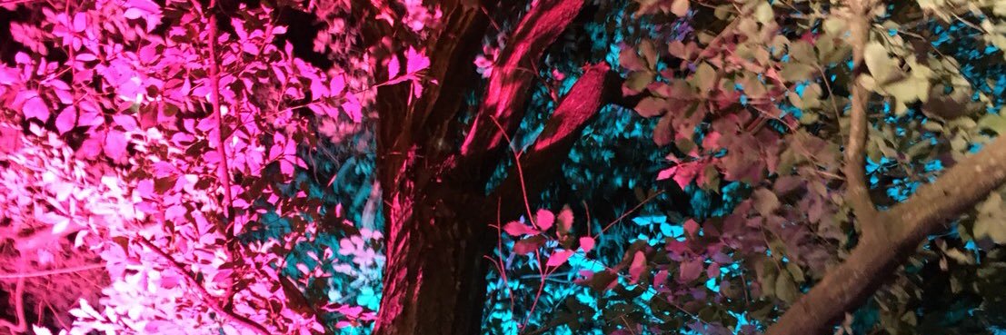 w012k's profile banner image