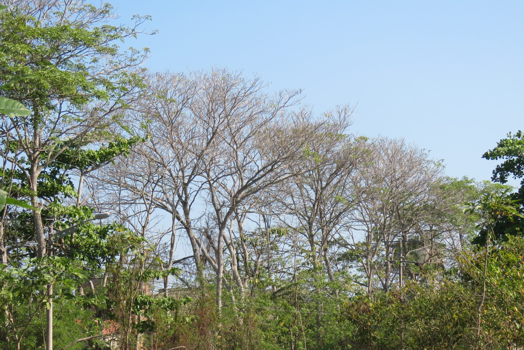 pepaposada's profile banner image
