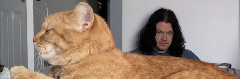 Ethan Simmons banner