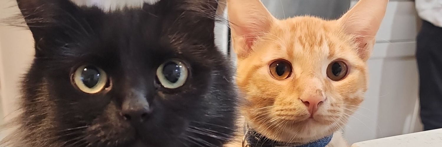 ArchieVonPupper's profile banner image