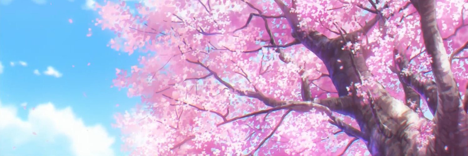 vault_oracle's profile banner image