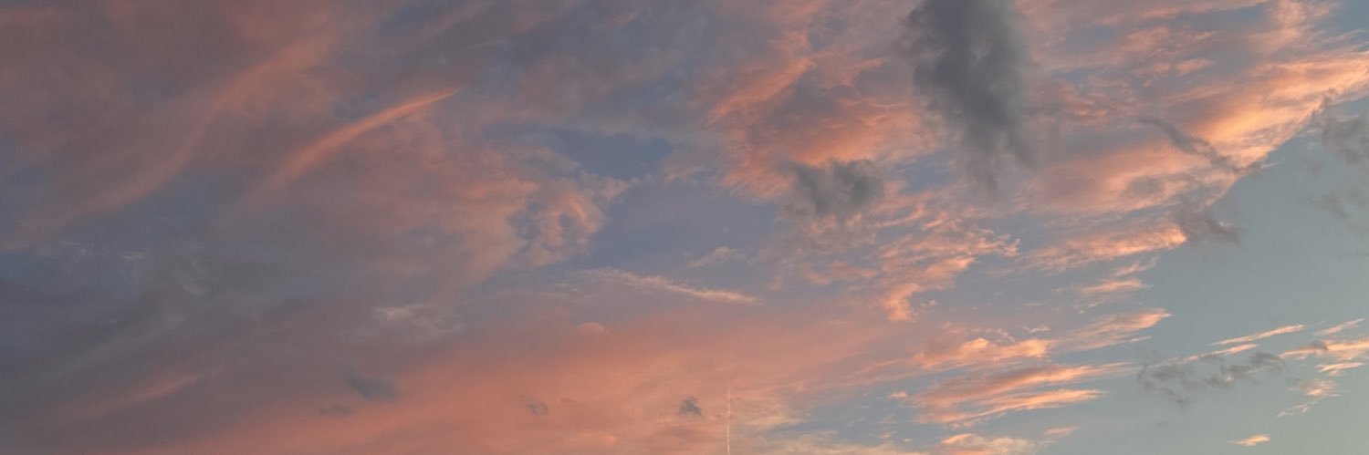 sandrasilverr's profile banner image