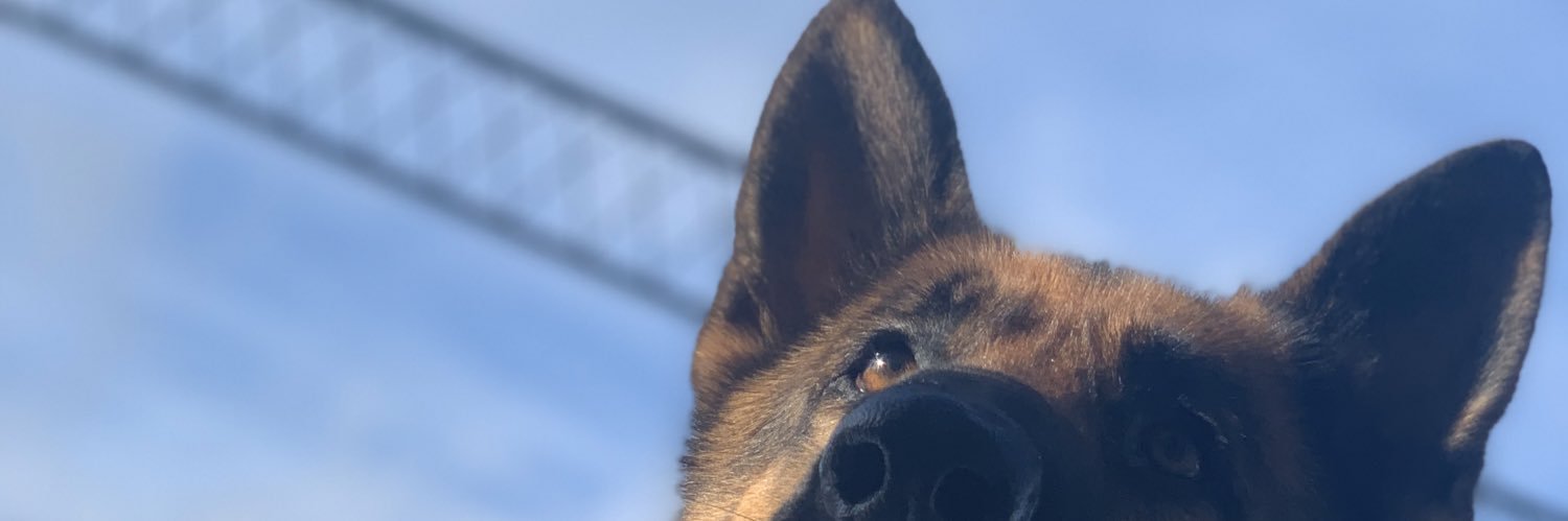 D_Luna10's profile banner image