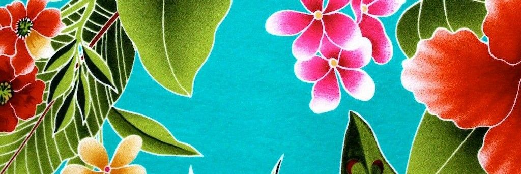 steve wimmer ➡️Orlando banner