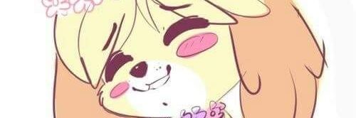 PaperStar64's profile banner image