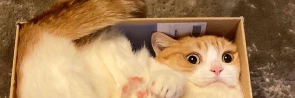 macias1304 Profile Banner