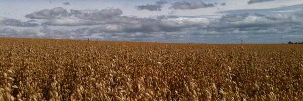 stracathro_1 Profile Banner