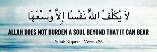 madihah65's profile banner image