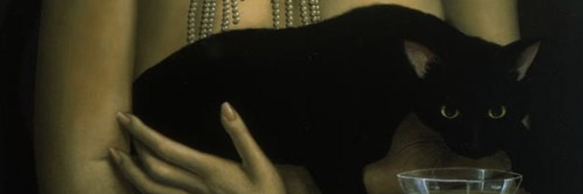 evickz27's profile banner image
