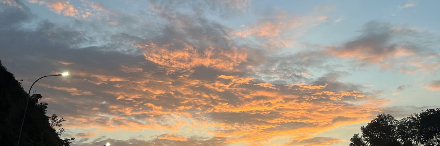 dilaishk's profile banner image