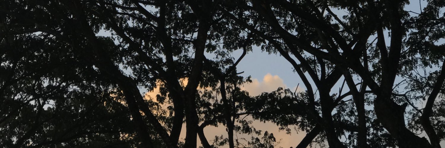 nsftkaqs's profile banner image