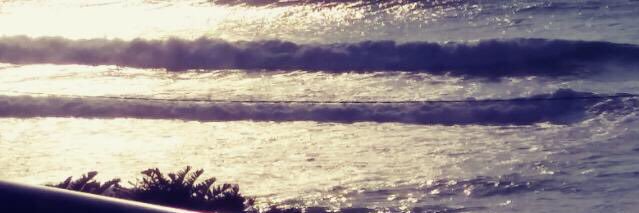 Asmita_M's profile banner image