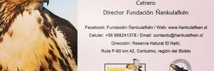 VicenteVicho's profile banner image
