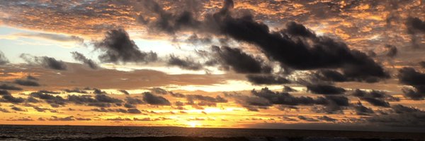 AmeliaCoxAC Profile Banner