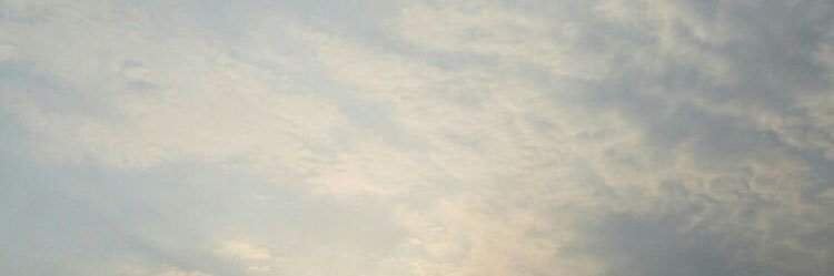 asxdnm's profile banner image