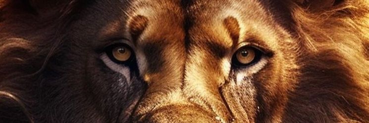 BrunoPi6's profile banner image
