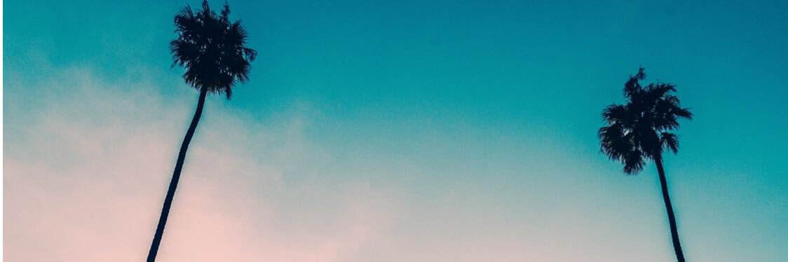 putrinvtsr's profile banner image