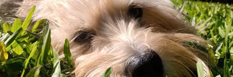 catacuencaa's profile banner image