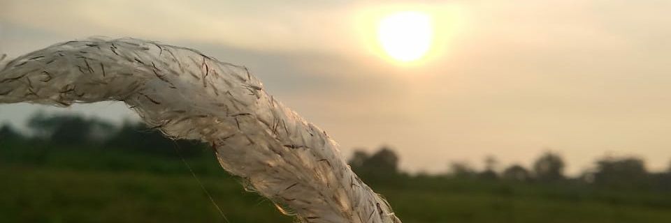 chotimatulfazriyah banner