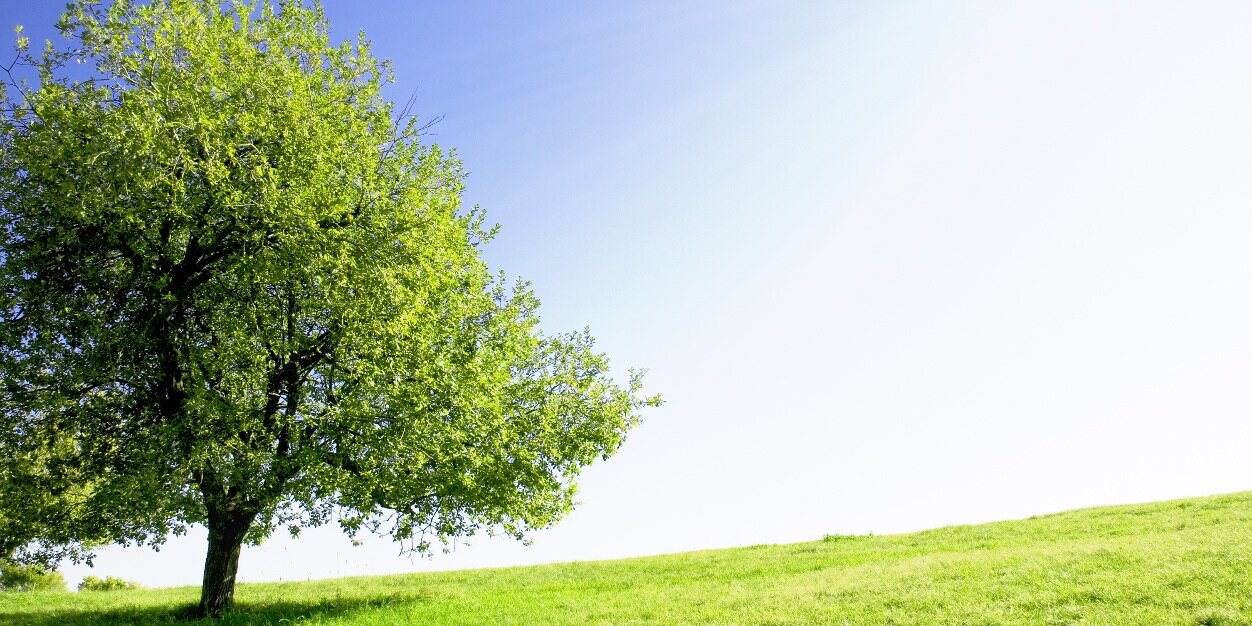 stantimmins's profile banner image
