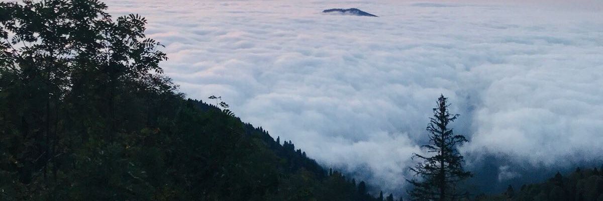 mirhanemin's profile banner image