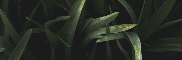 Phavrita Profile Banner