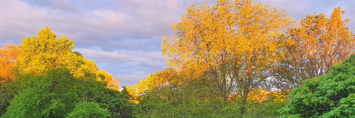 Simon O'Connell Sioconnell@bsky.social banner