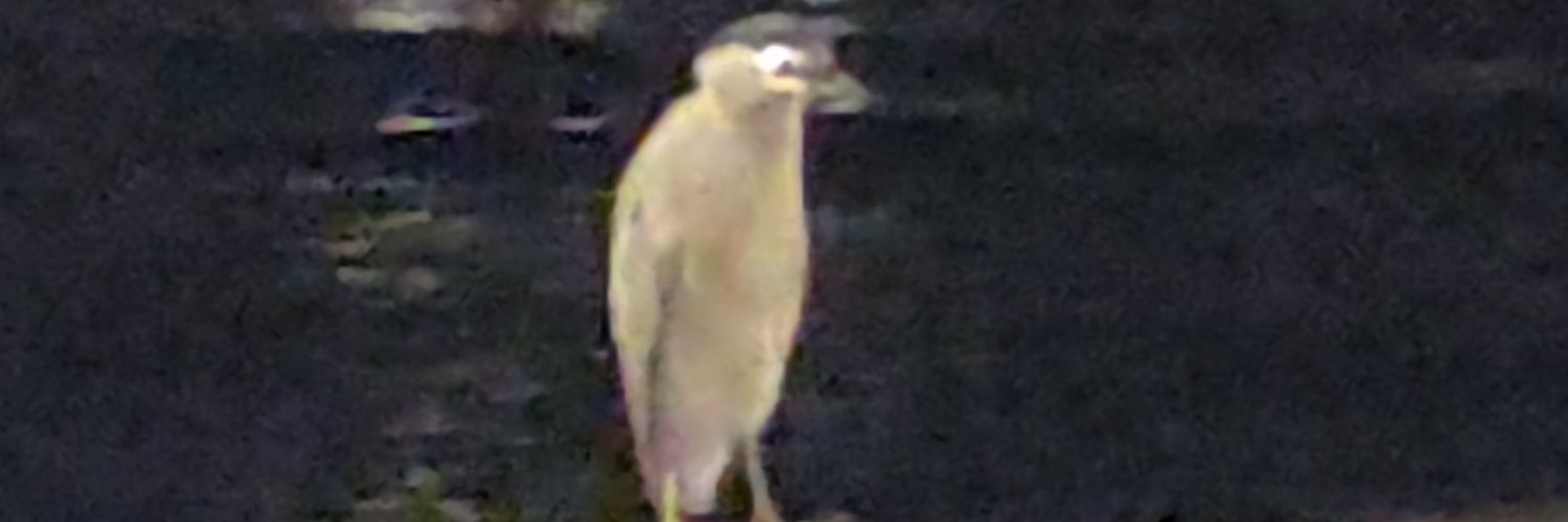 theSteveBryant's profile banner image