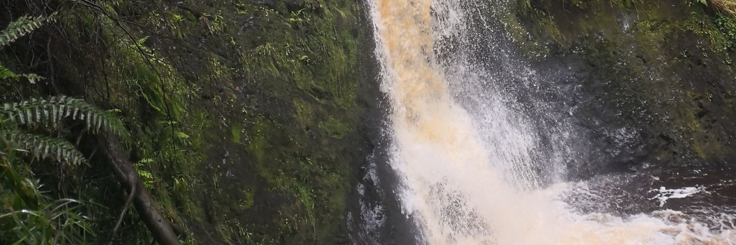 Davethebarber82 banner