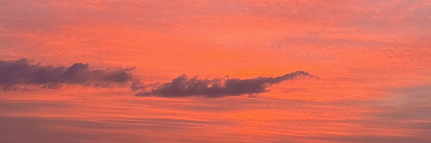 Sfrdhwn's profile banner image