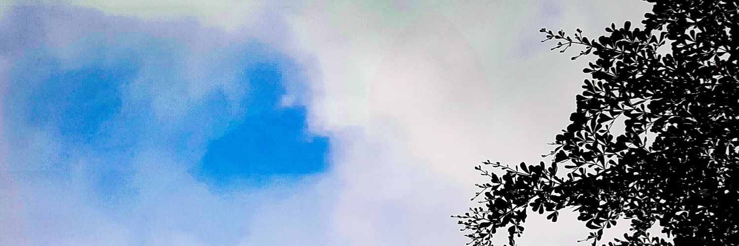 teerpaku's profile banner image
